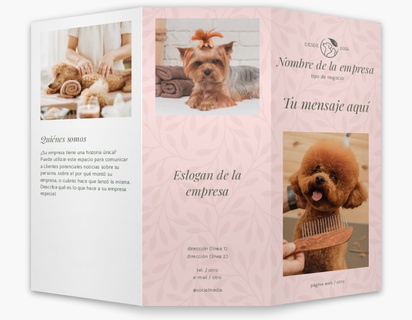 Un cuidado de animales salón para perros diseño crema gris para Animales con 3 imágenes