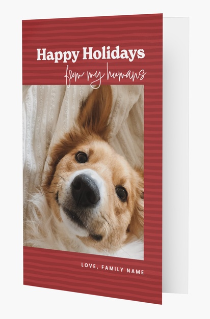 Design Preview for Design Gallery: Pets Christmas Cards, Rectangular 18.2 x 11.7 cm