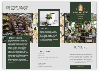 Design Preview for Design Gallery: Art & Entertainment Brochures, Tri-fold DL