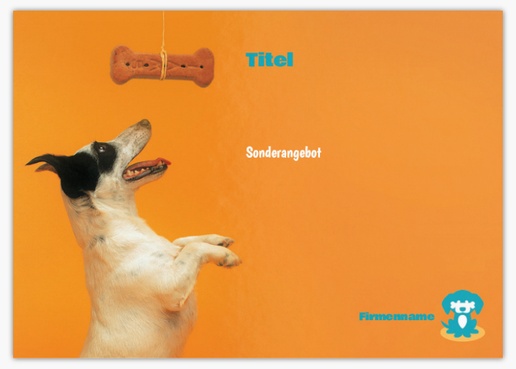 Designvorschau für Designgalerie: Postkarten Tiere, A6 (105 x 148 mm)