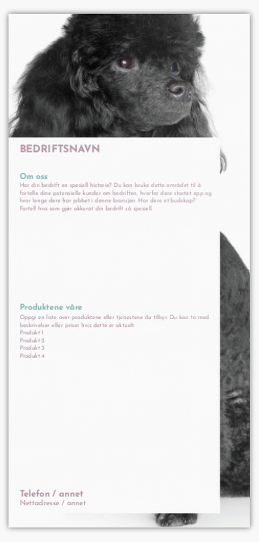 Forhåndsvisning av design for Designgalleri: Trening kjæledyr Postkort, Avlang (99 x 210 mm)