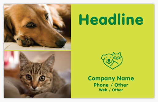 A 애완 동물 입양 센터 cat yellow brown design for Animals & Pet Care