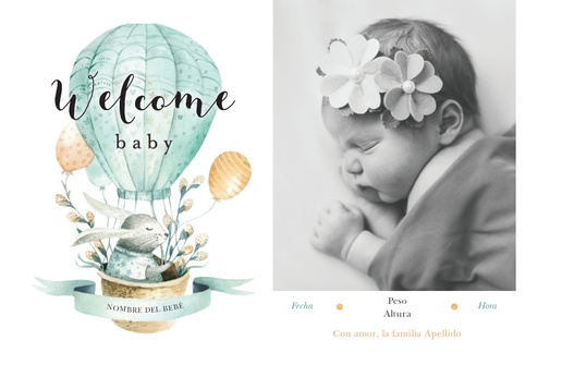 Un anuncio de la foto del bebé conejitos en globo de aire caliente diseño blanco gris para Niño con 1 imágenes