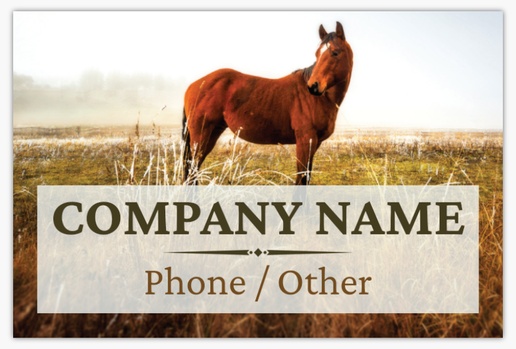 A equine western gray brown design for Animals