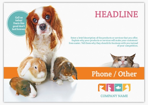 Design Preview for Design Gallery: Animals & Pet Care Postcards, A5