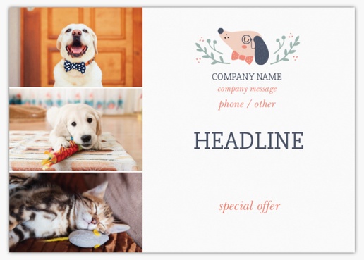 Design Preview for Design Gallery: Animals & Pet Care Postcards, A6 (105 x 148 mm)
