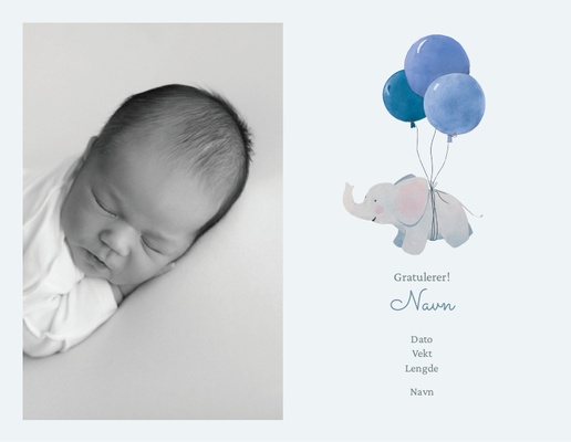 Forhåndsvisning av design for Designgalleri: Nyfødt Fødselskunngjøringer, 14 x 10,1 cm