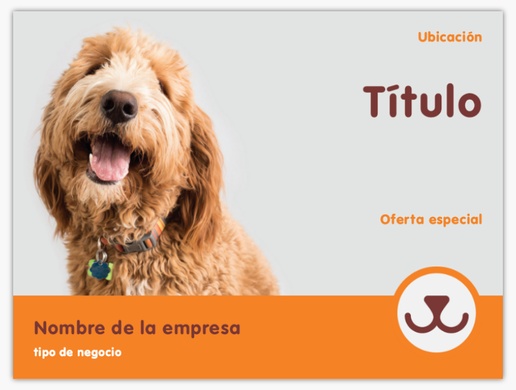 Un Peluquería para animales cuidado de mascotas diseño gris naranja para Animales y mascotas