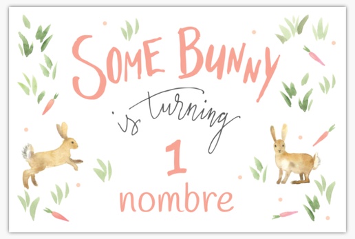 Un primer cumpleaños bunny theme diseño blanco marrón para Animales