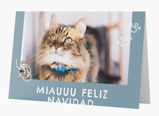 Un tarjeta de vacaciones de gato gatito diseño azul gris para Tema con 1 imágenes