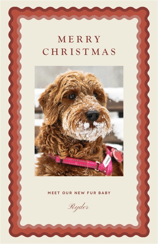 Design Preview for Design Gallery: Holiday Christmas Cards, Flat 4.6" x 7.2" 