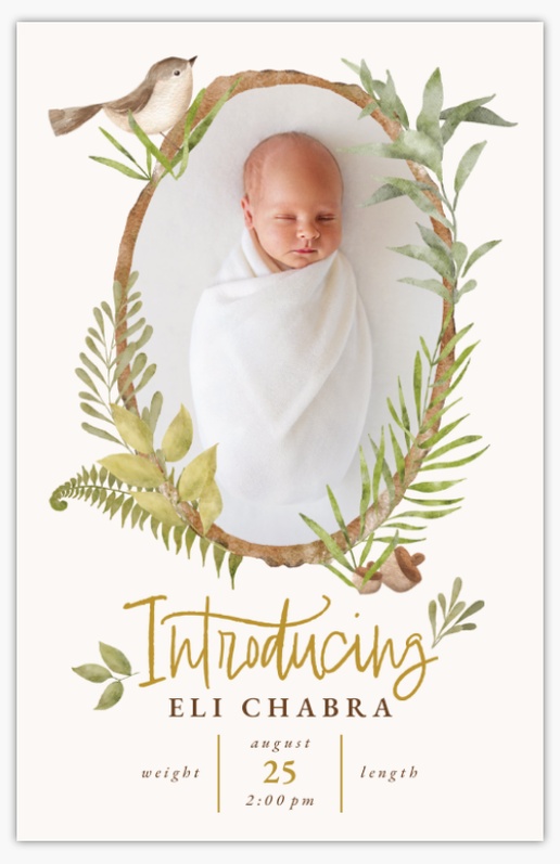 A rustic greenery introducing white brown design for Gender Neutral with 1 uploads