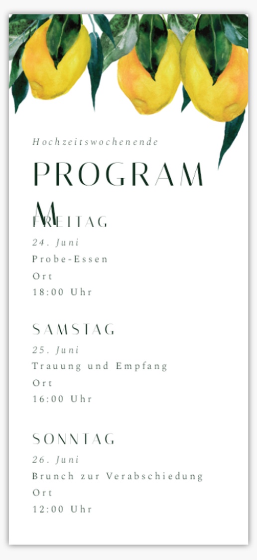 Designvorschau für Designgalerie: Hochzeitsprogramme, 21 x 9.5 cm